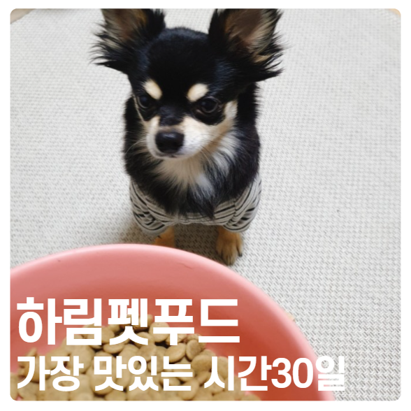  하림펫푸드 '가장 맛있는 시간 30일' 강아지가 정말 좋아하는 맛!