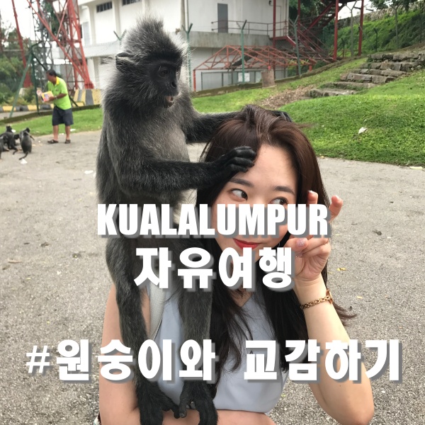  [말레이시아] 쿠알라룸푸르, 랑카위 여행일기 첫번째