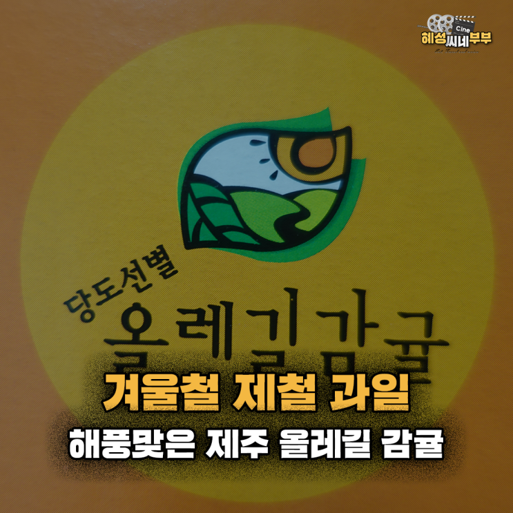  상품 소개ㅣ 해풍 맞은 제주 올레길 감귤(칼로리, 효능, 보관법, 귤은 왜 주물러서 먹어야 하는지까지 알려드릴게요!)