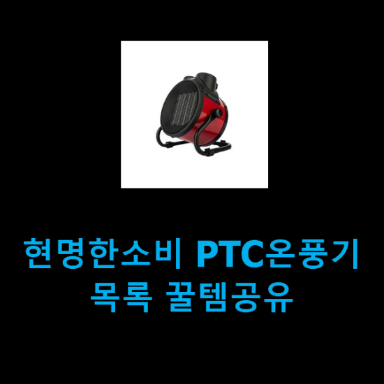 현명한소비 PTC온풍기 목록 꿀템공유