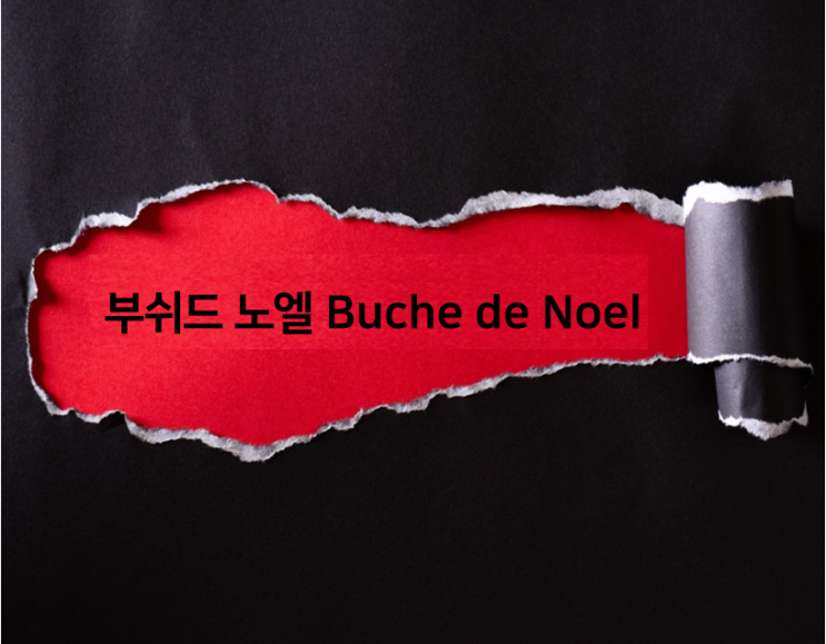 부쉬드 노엘 Buche de Noel 크리스마스 케이크로 축하해요 