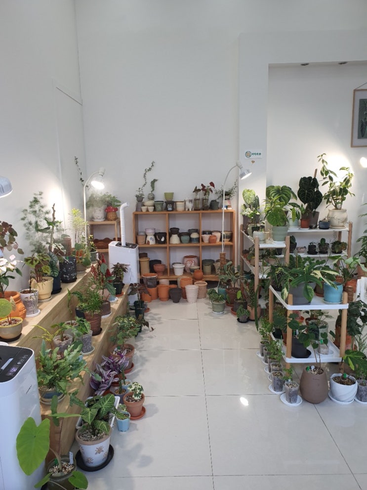  두즈므와(정원과의 열두달) 플랜트샵으로 고고씽~!!