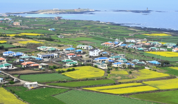  탐라 제주도에서 우도 여행하기