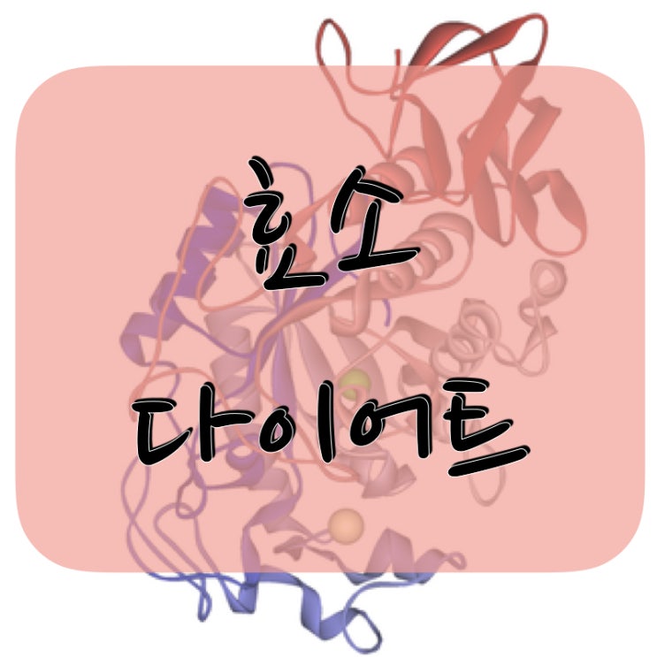  효소 다이어트, 그것이 알고 싶다.