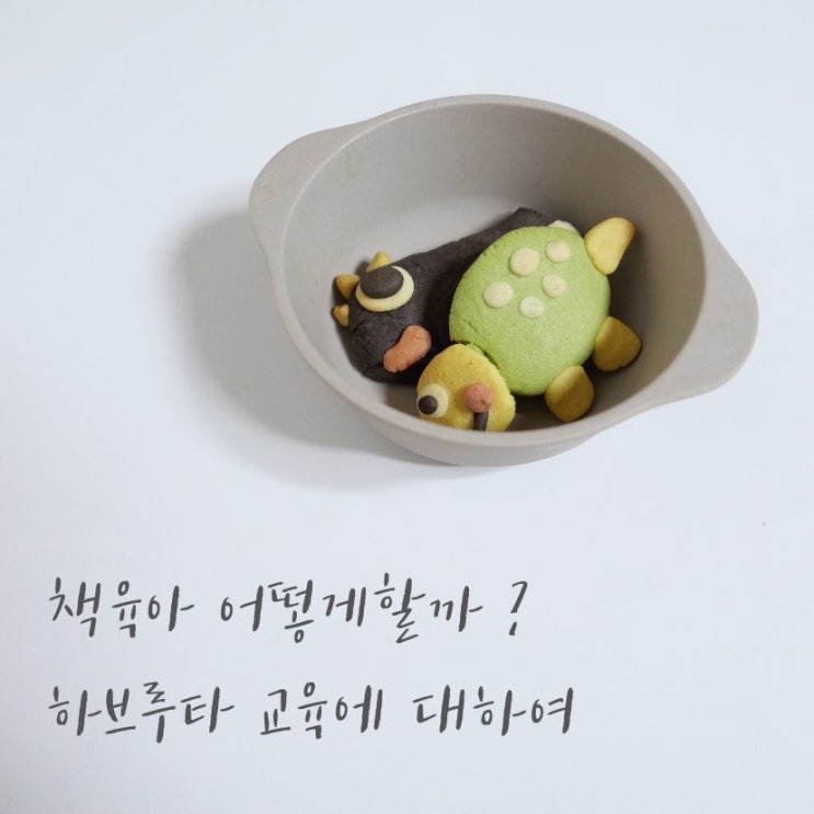  책육아 어떻게할까 ? 하브루타 교육 부터 공부한 엄마