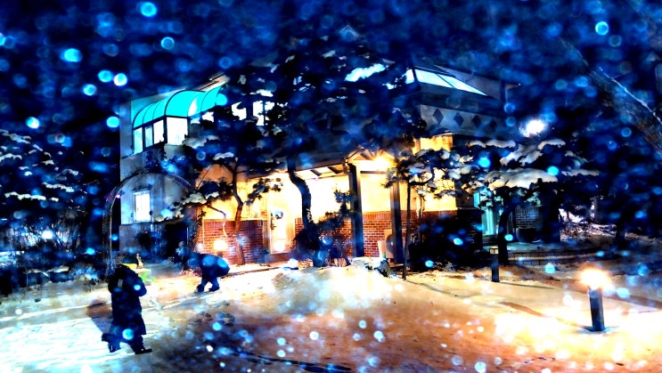  눈 오는  날