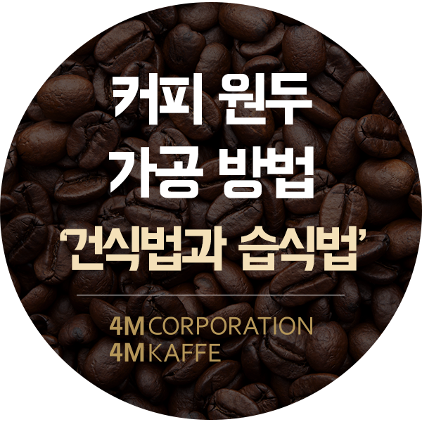 커피 원두 가공법 정리건식법과 습식법