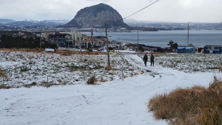 겨울 폭설로 뒤덮힌 제주 송악산 & 송악산 눈썰매장