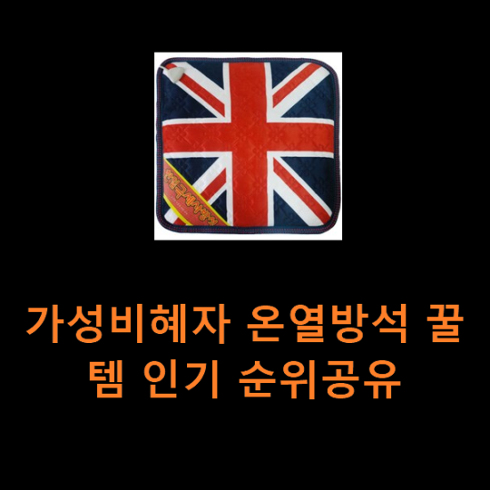 가성비혜자 온열방석 꿀템 인기 순위공유 가성비혜자 온열방석 꿀템 인기 순위공유