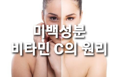  미백성분 비타민 c 효능과 원리/ 안티에이징 /항산화제