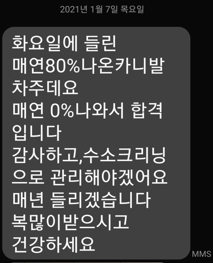 자동차검사 받으러 검사소에 갔는데 매연 80% 불합격