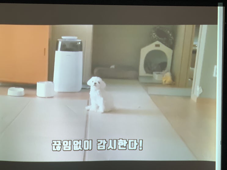 신길동 영어교육용 학원빔프로젝트 연결 설치