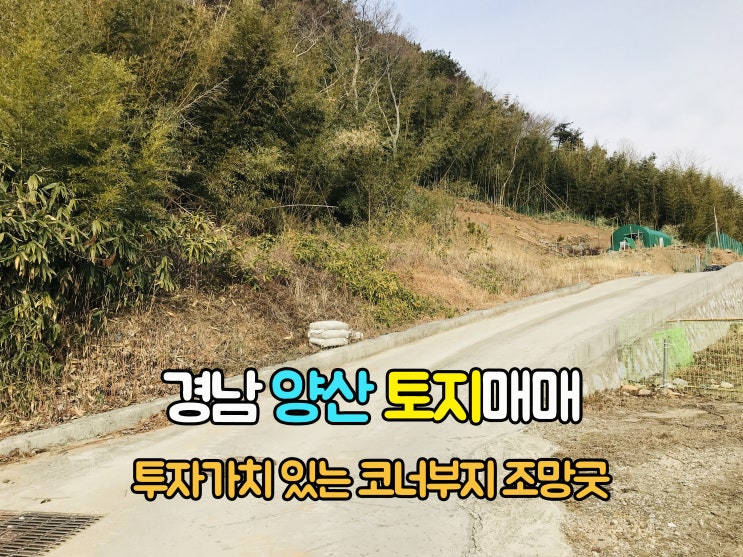  양산부동산(4-14)마을뒤 코너부지 투자가치 있는 전원주택지 주말농장 절터 경남토지 양산땅 380m2 매매 입니다