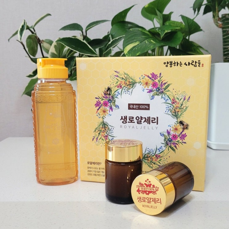 면역력에 좋은 로얄젤리, 아카시아꿀 효능 알기 (복용법, 먹는법, 보관방법) 면역력에 좋은 로얄젤리, 아카시아꿀 효능 알기 (복용법, 먹는법, 보관방법)