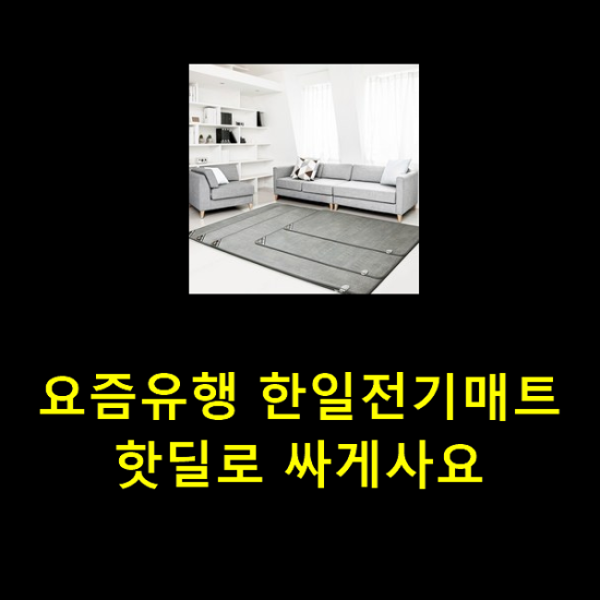 요즘유행 한일전기매트 핫딜로 싸게사요 요즘유행 한일전기매트 핫딜로 싸게사요