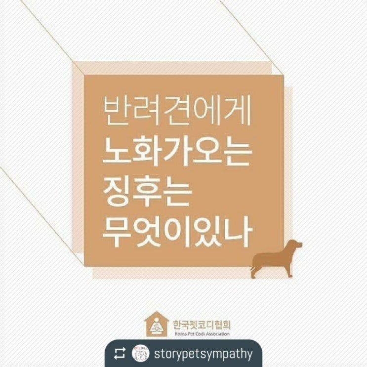  반려견에게 노화가 오는 징후는 무엇이 있나
