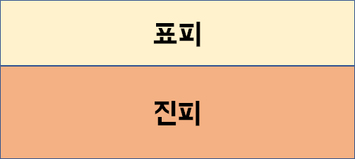  집에서 화상 당했을 때 대처법