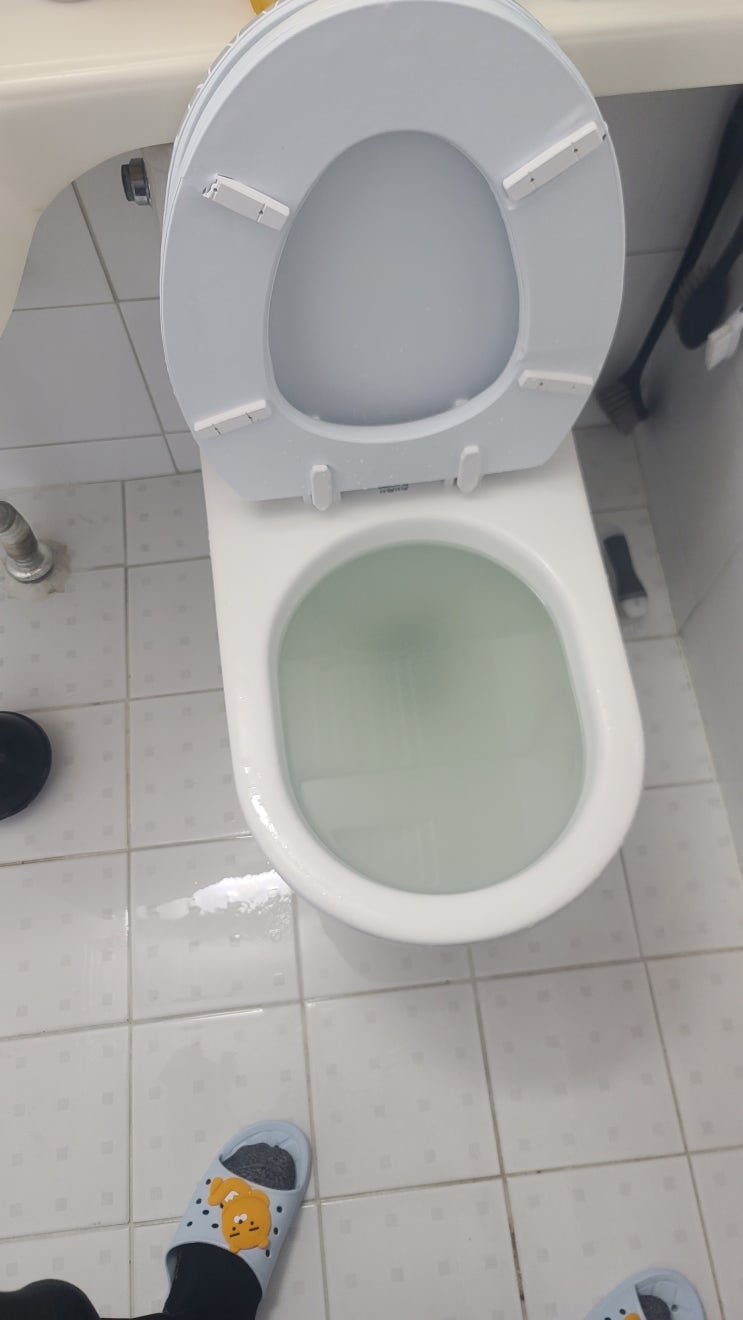 송파동 변기 막혔을때 해결하시기 힘드시다구요? 송파동 변기 막혔을때 해결하시기 힘드시다구요?