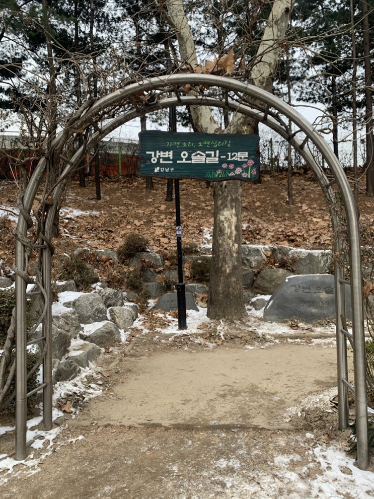  산책하는 강아지(청담동 갤러리아 부근 강아지 산책 추천 코스)