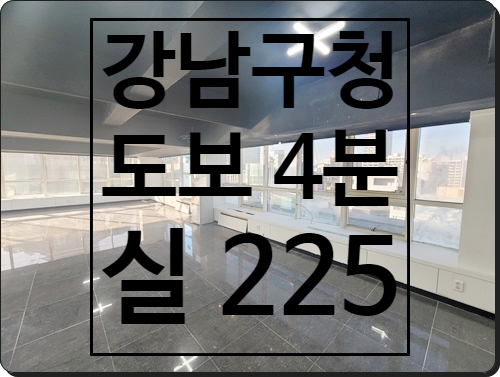 채광 듬뿍 받을 수 있는 강남구청 역세권 논현동 사무실 임대