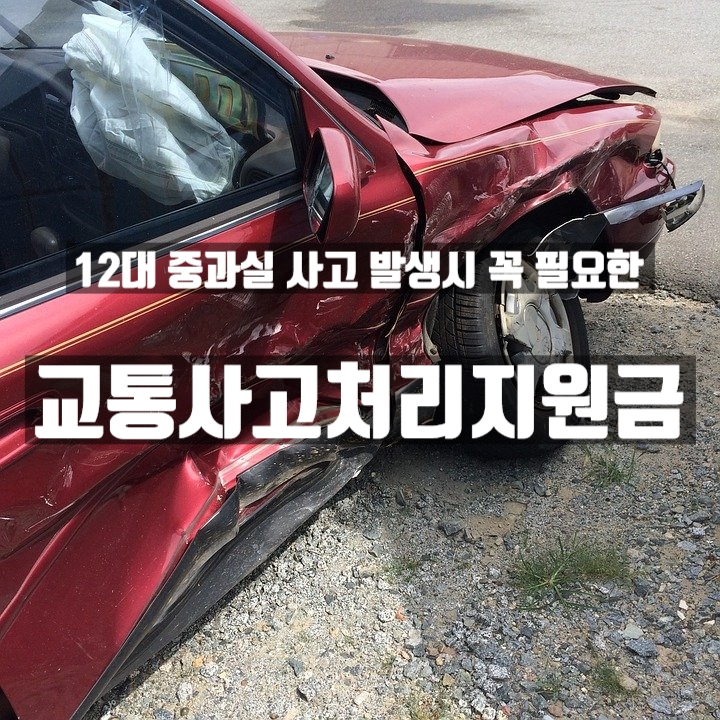  12대 중과실 사고 발생시 꼭 필요한 교통사고처리지원금