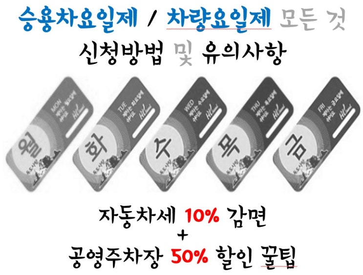  [생활꿀팁] 승용차요일제 / 차량요일제 모든 것