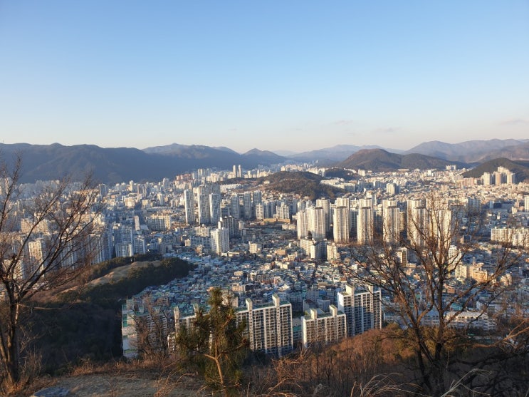  부산 강아지 등산, 연산동 고분군에서 배산 정상까지