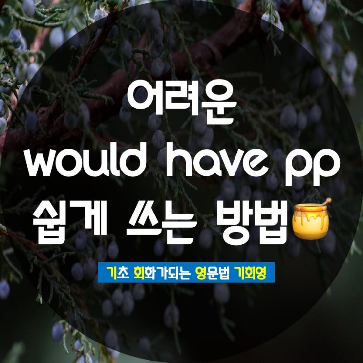 would have pp 뜻 쉽게 쓰는 방법 - 기회영
