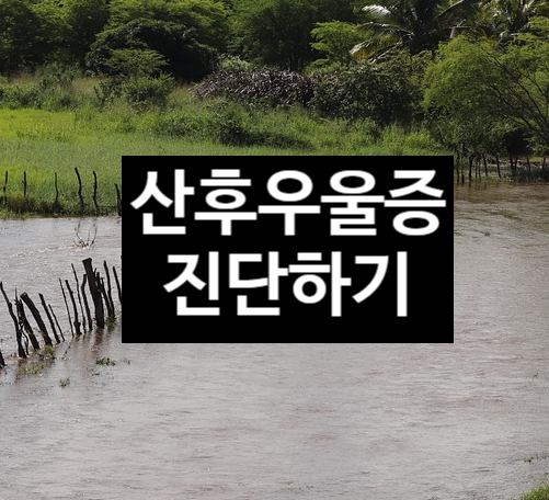  산후 우울증 진단하기