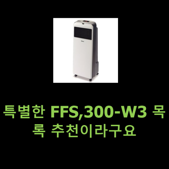 특별한 FFS,300-W3 목록 추천이라구요