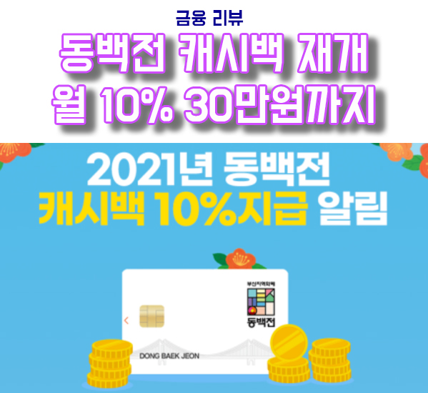  동백전 10%캐시백 재개, 월 30만원 까지