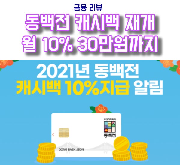 동백전 10%캐시백 재개, 월 30만원 까지 : 네이버 블로그