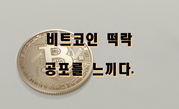  비트코인 하락, 공포를 견뎌라, 공포에 매수하다.