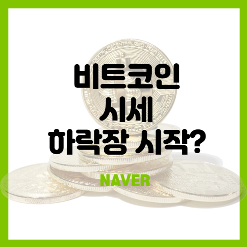  비트코인 시세 예측 - 코인 미래 전망