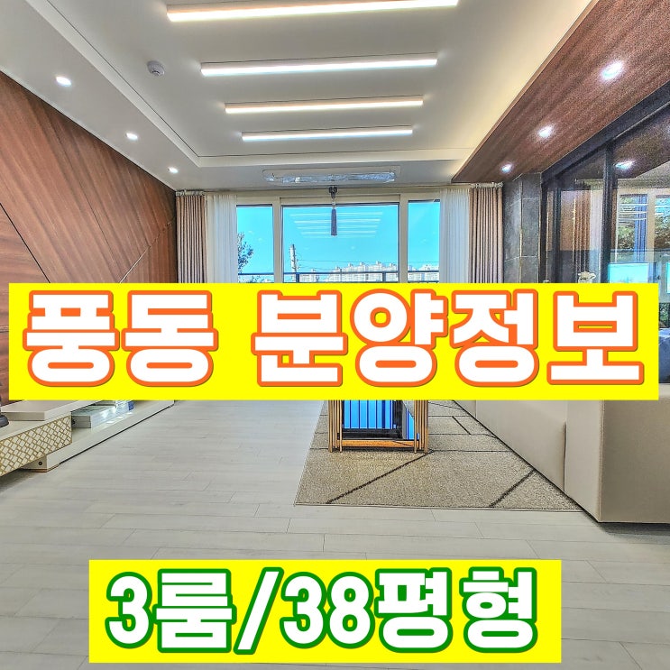  일산 풍동 신축빌라 매매 분양정보