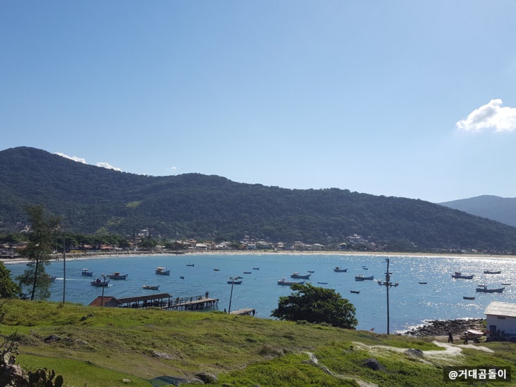  [중남미여행] 친구가 살고 있어서 좋았던 플로리아노폴리스 Florianopolis
