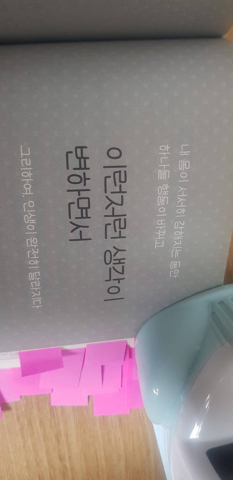  마녀체력 | 이영미 지음 | 북드림서비스 | 리뷰 2