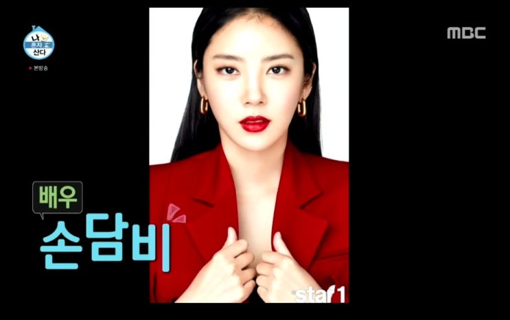  나혼자산다 손담비 프로필, 집 위치, 매매가, 특이한 구조 함께 봐요!