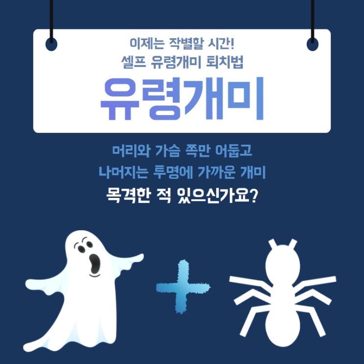 유령개미와 이제는 작별할 시간