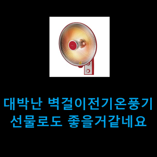 대박난 벽걸이전기온풍기 선물로도 좋을거같네요