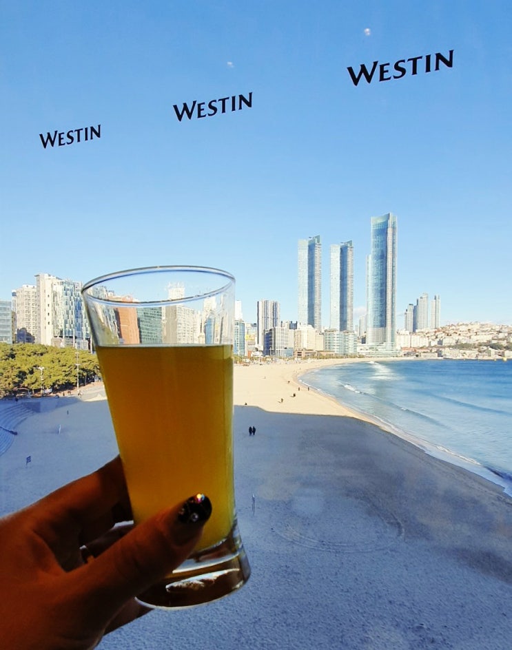  웨스틴조선 부산 (부대시설, 클럽라운지 해피아워, 까밀리아 뷔페등)