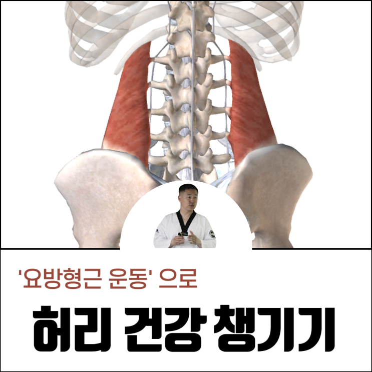  요방형근 운동으로 허리 건강 챙기기