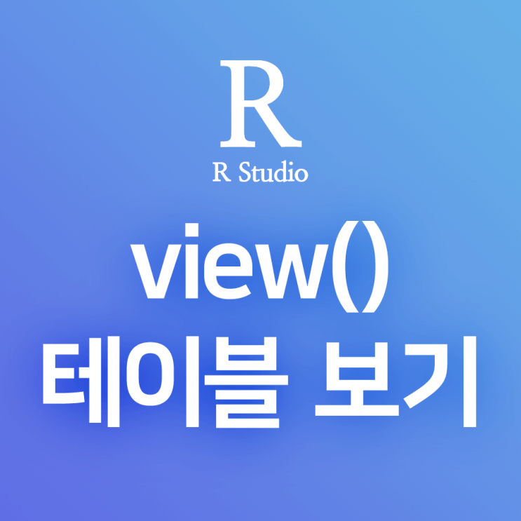  [R] view() : 데이터프레임을 GUI 테이블 형태로 조회하기