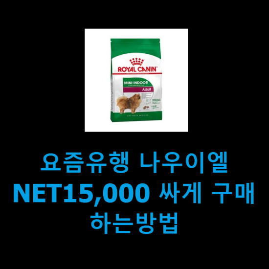 요즘유행 나우이엘NET15,000 싸게 구매하는방법