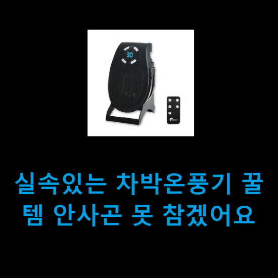 실속있는 차박온풍기 꿀템 안사곤 못 참겠어요