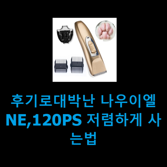 후기로대박난 나우이엘NE,120PS 저렴하게 사는법