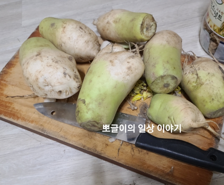  겨울철 무보관법/무효능/무부위별 용도/무고르는방법