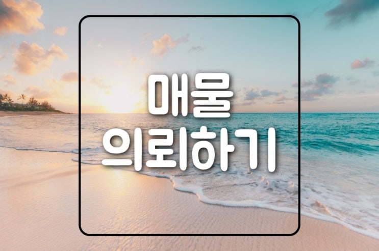  서호부동산에 매물의뢰하기