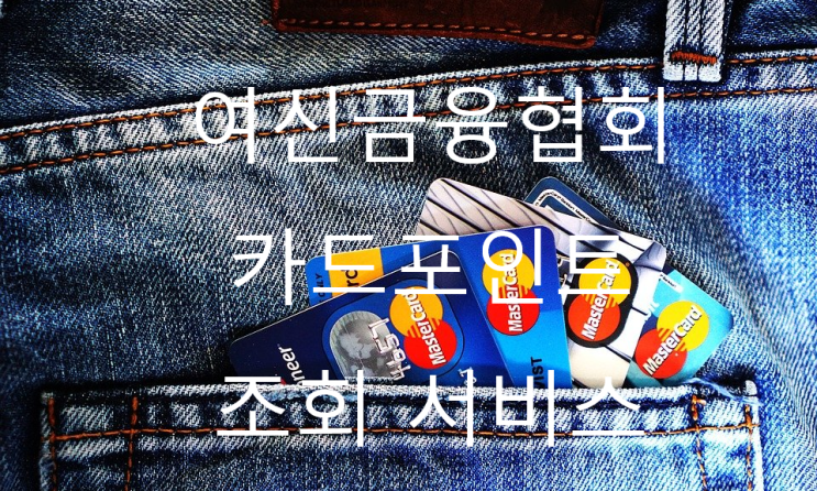  <여신금융협회>잠자고 있던 카드 포인트 조회 이용해본 후기
