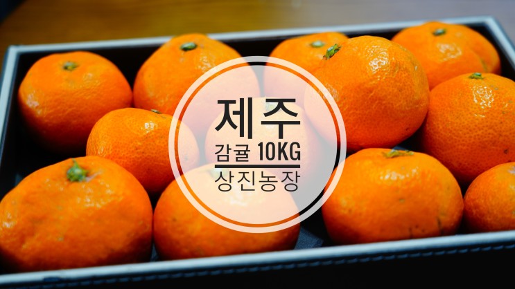 귤 10kg  택배선물  제주상진농장